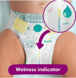 Pampers premium protection Size 6 - Monthly Pack - 144