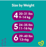 Pampers premium protection Size 6 - Monthly Pack - 144