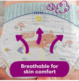 Pampers premium protection Size 6 - Monthly Pack - 144