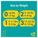 Pampers New Baby Nappies Size 2 - Jumbo+ (76pcs)