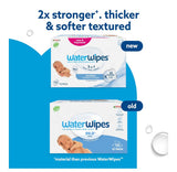 Water Wipes (Case Size 12 x60 Wipes)