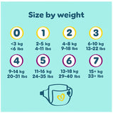 Pampers Premium Protection Size 6 - Monthly Pack - 144 (13-18kg)